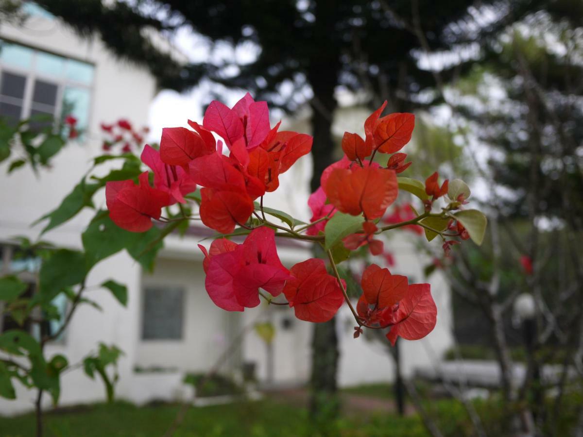 וולי Field House B&B מראה חיצוני תמונה